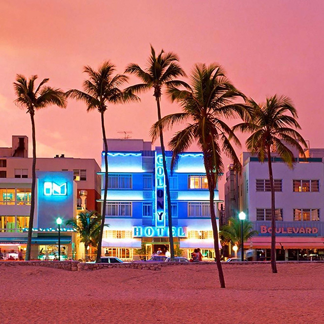 Discover the Best of Miami