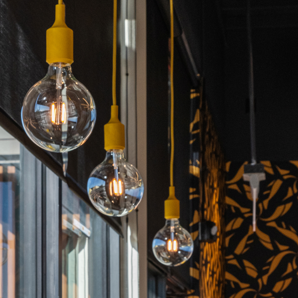 El Pollo Loco - Forging Connection