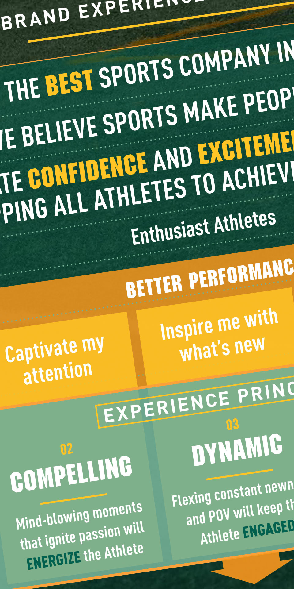 DICK'S House of Sport - Star Athlete