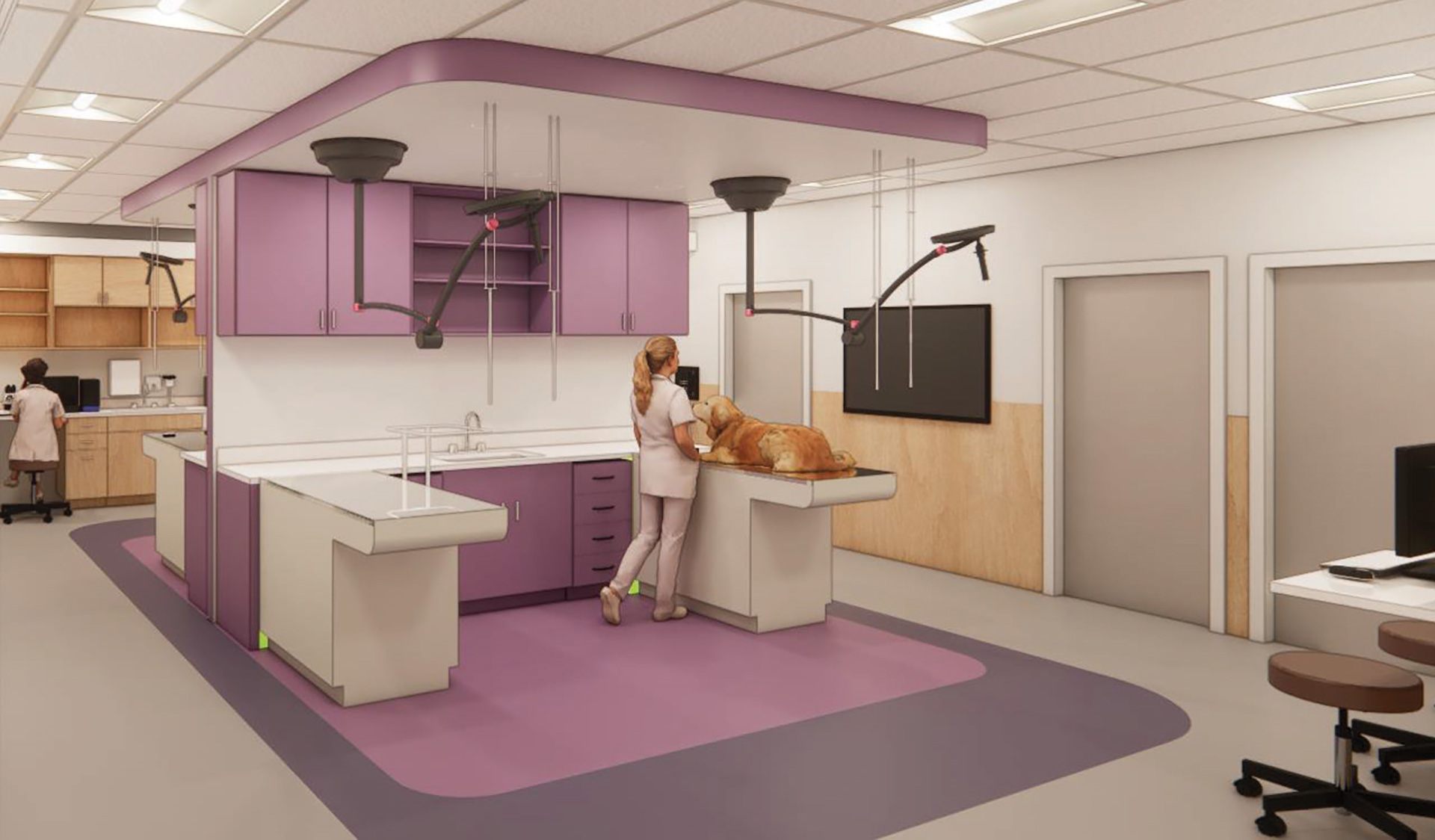 VCA - Experience Strategy