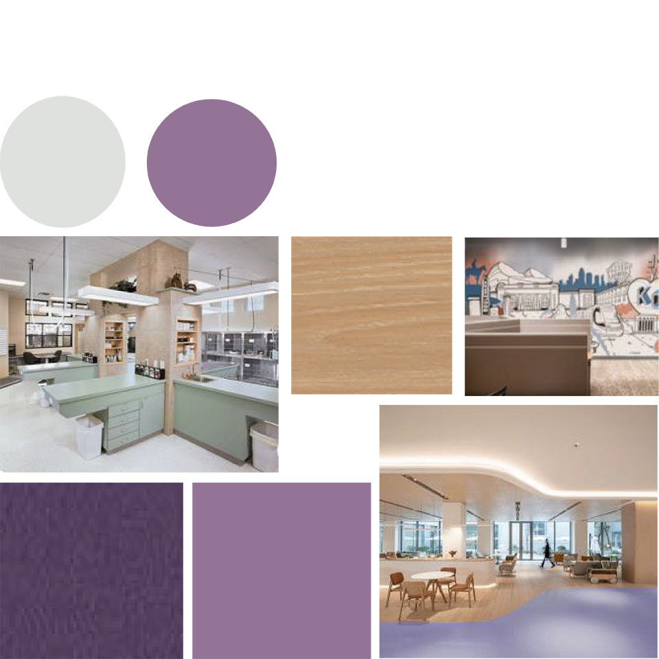 VCA - Experience Strategy