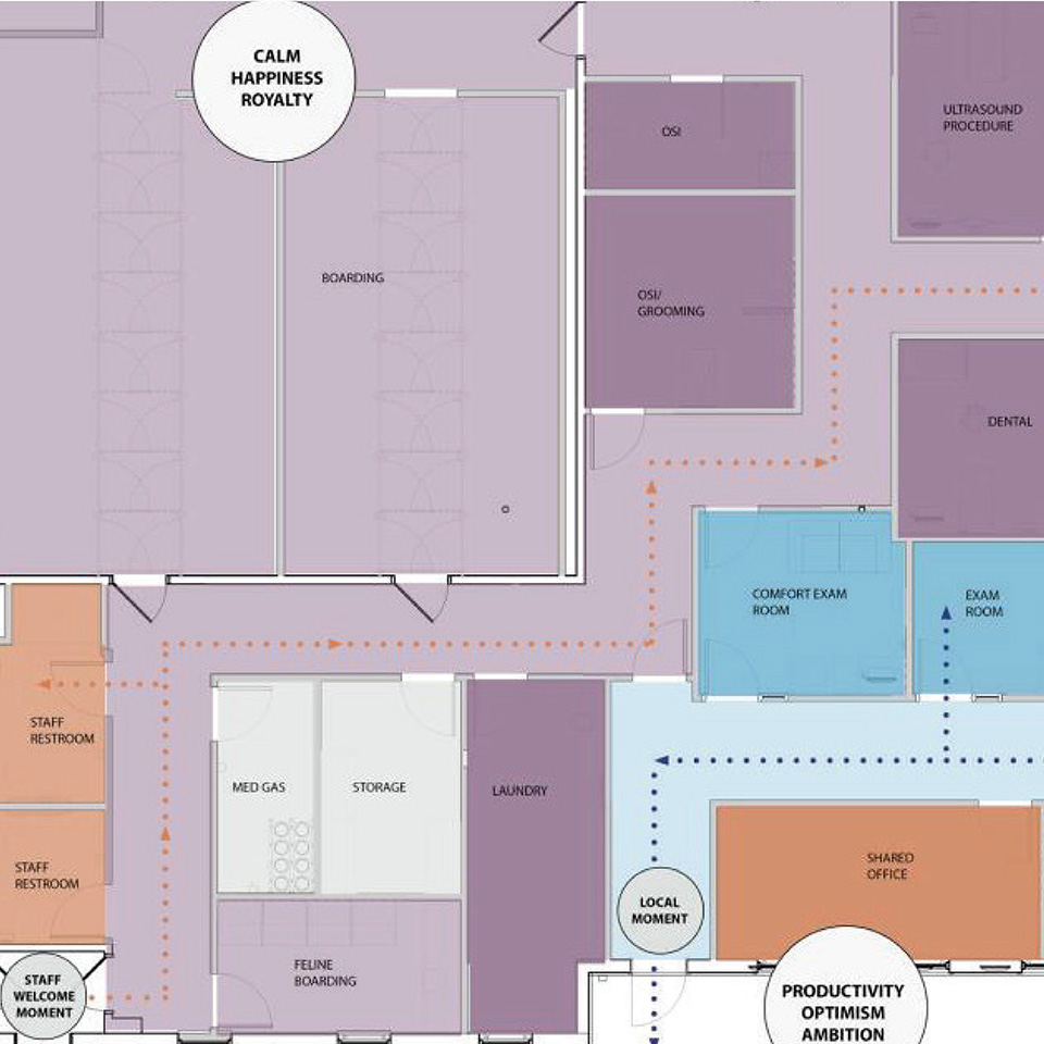 VCA - Experience Strategy
