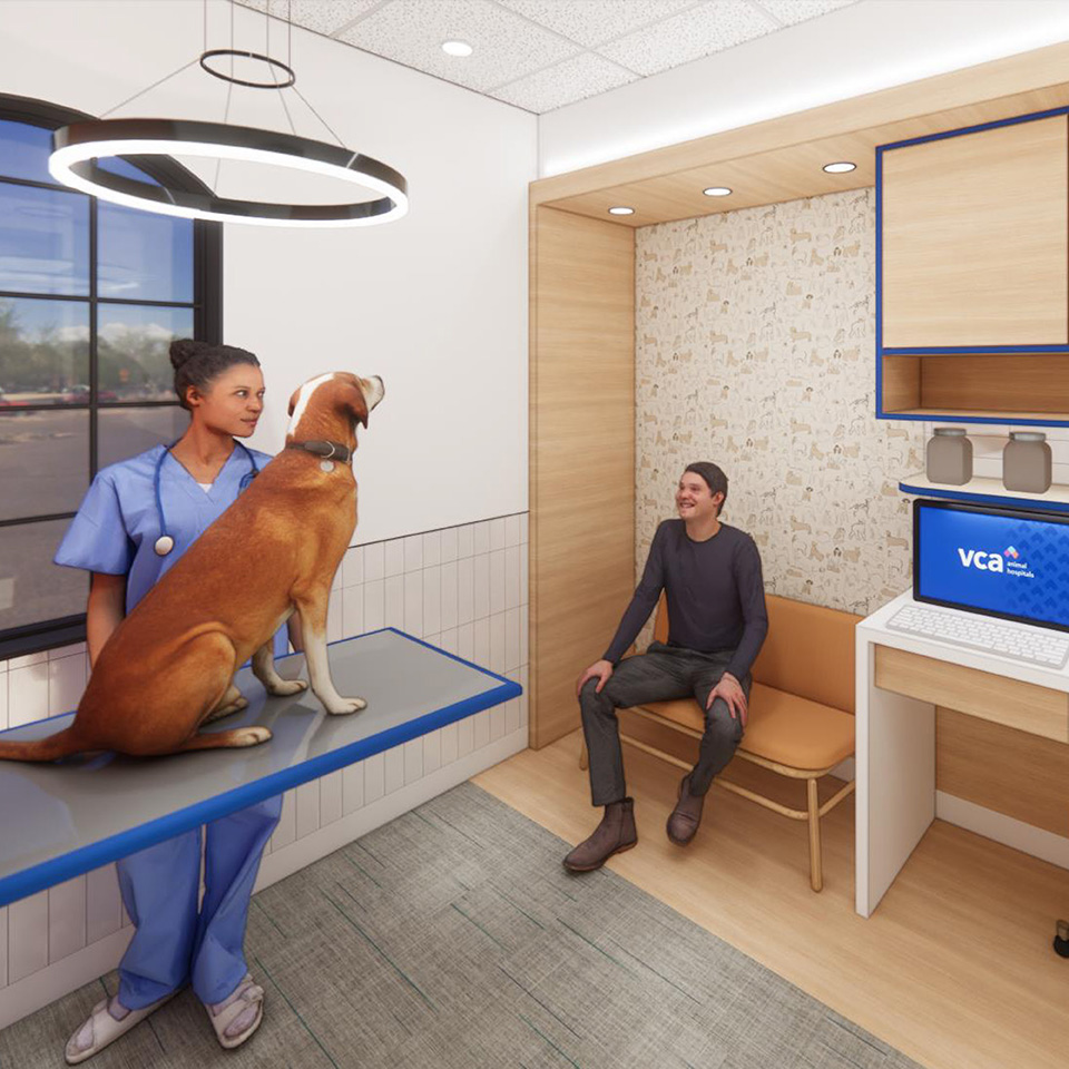 VCA - Hospital Modernization Remodel