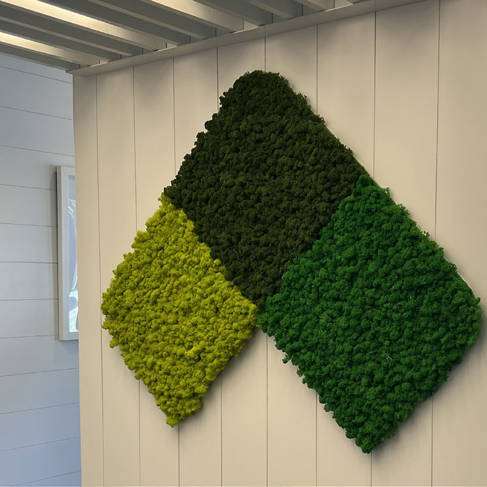 VCA - Urgent Care Program