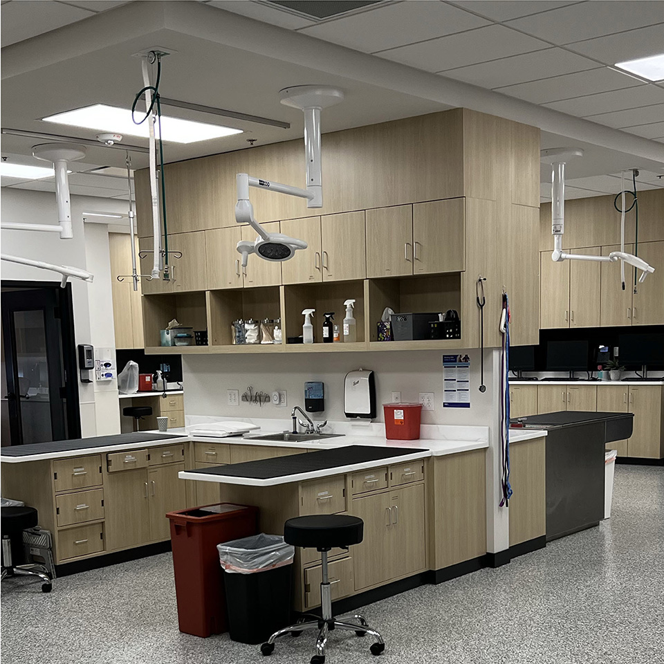 VCA - Urgent Care Program