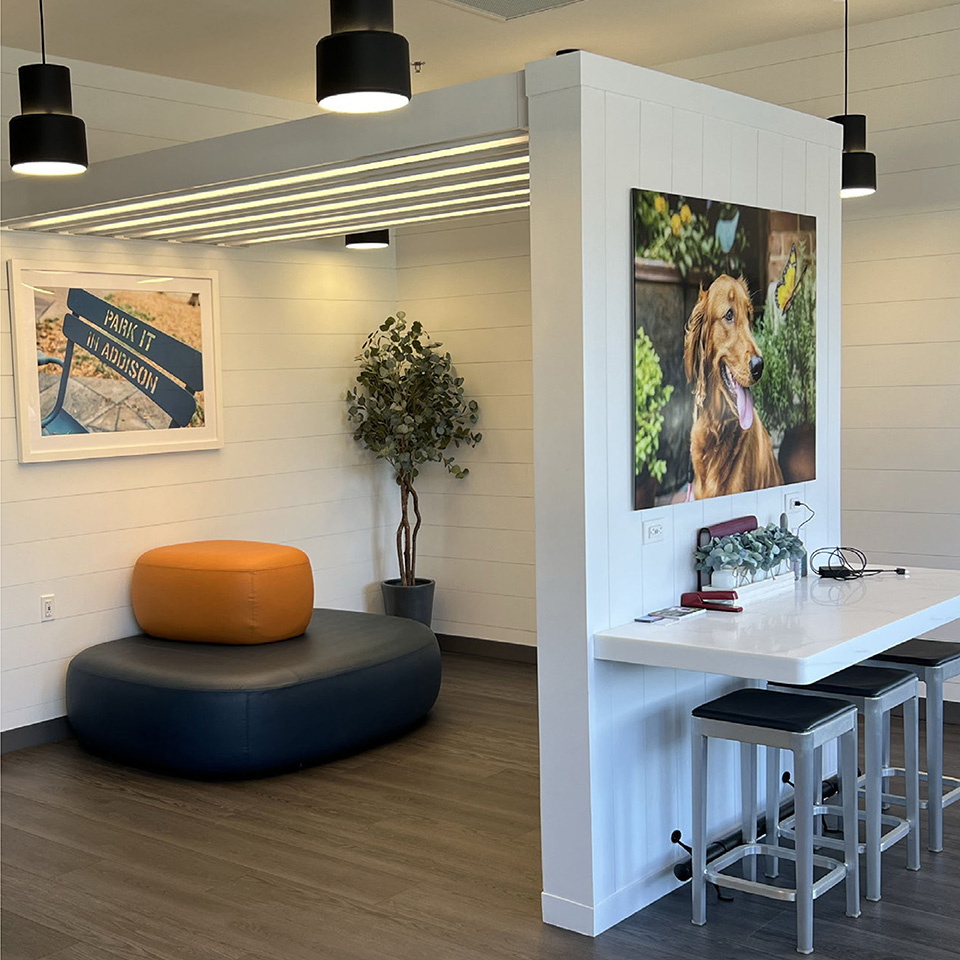 VCA - Urgent Care Program