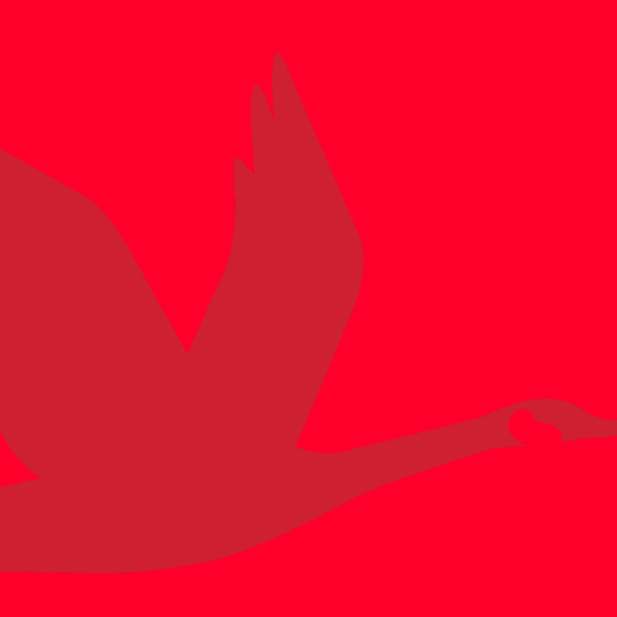 Solution Story - Wawa