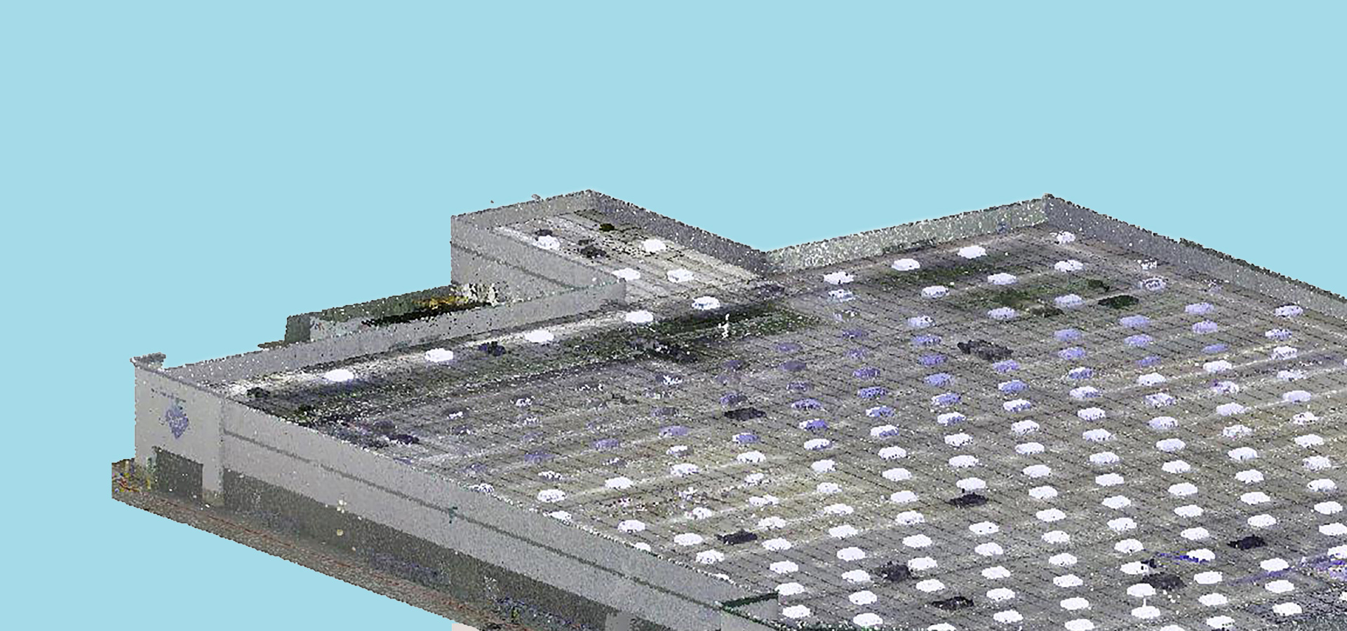 Sam's Club - Establishing the Standard