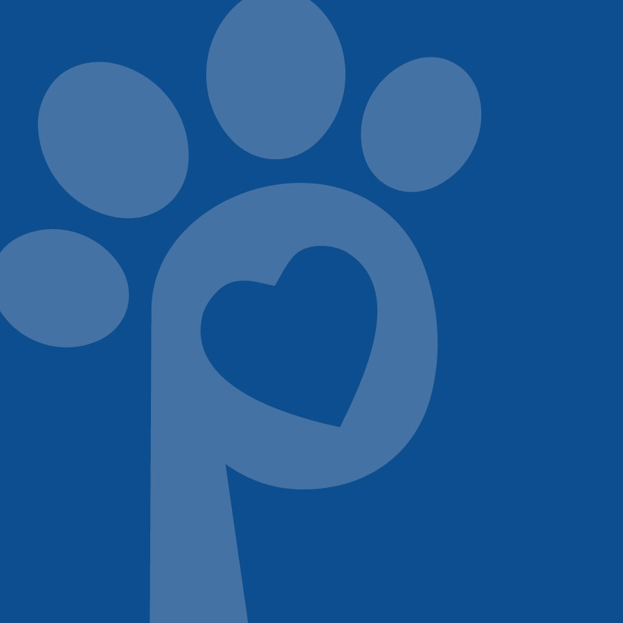 Solution Story - Petsense