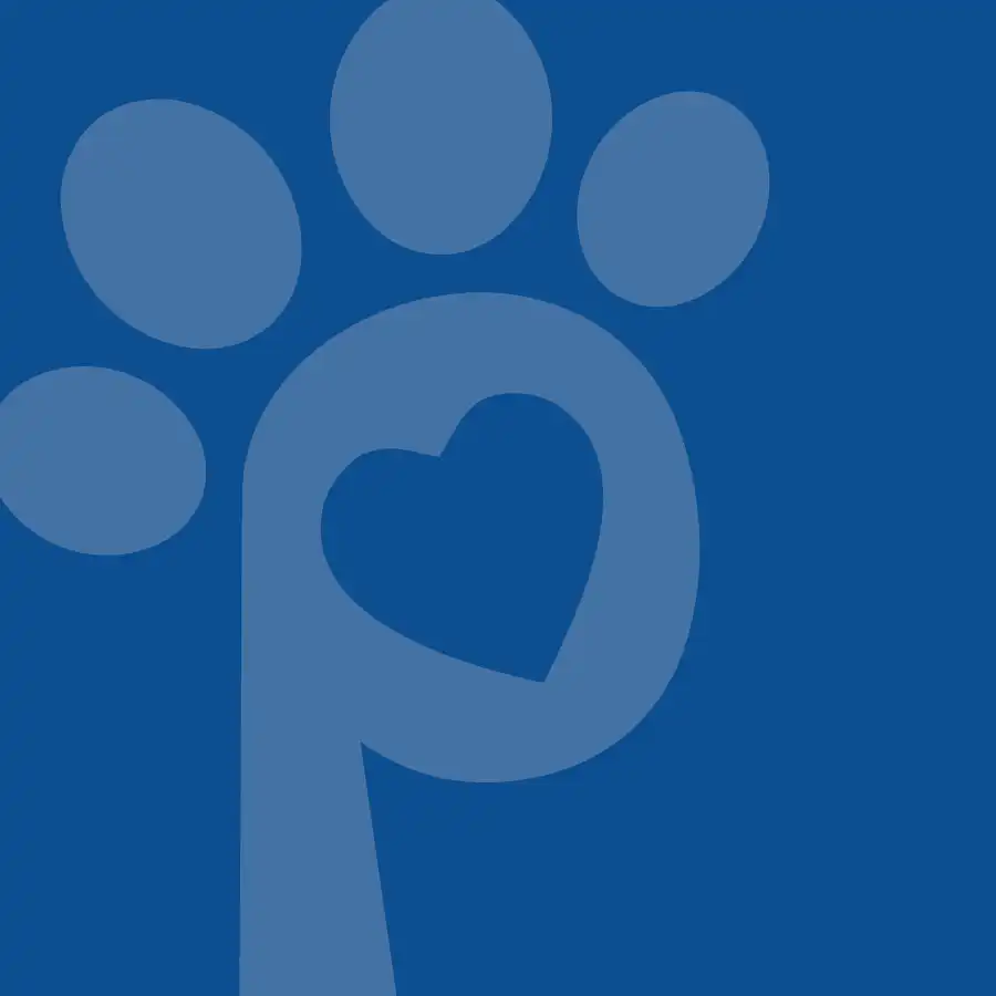 Solution Story - Petsense