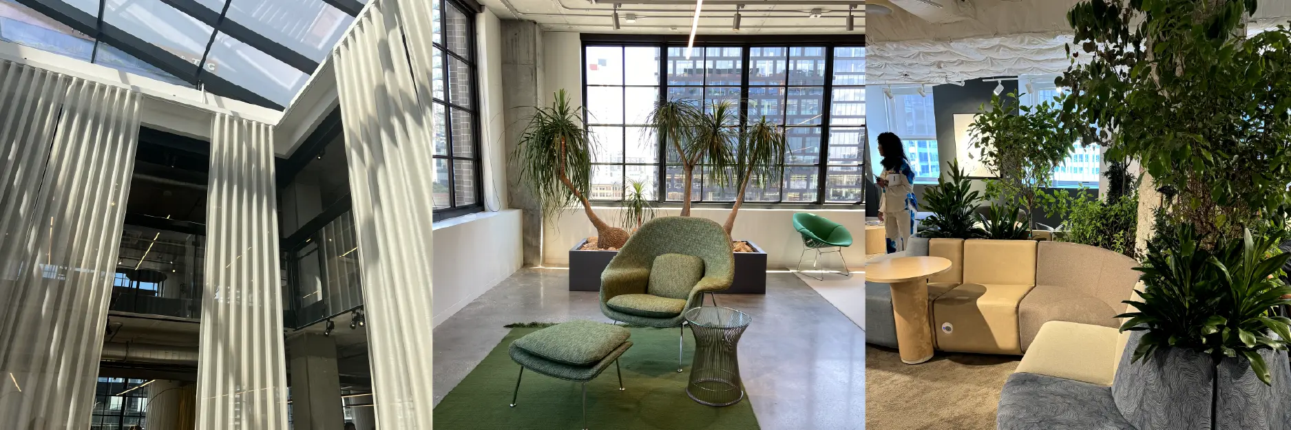 The Future of Design Trends